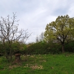 Balatonkenese Telek