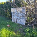 Balatonkenese Telek