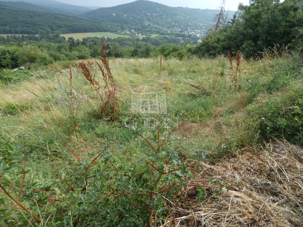 For sale Verőce Building lot