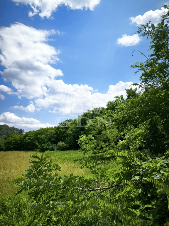 Verkauf Sződ Landwirtschaftliche Flächen