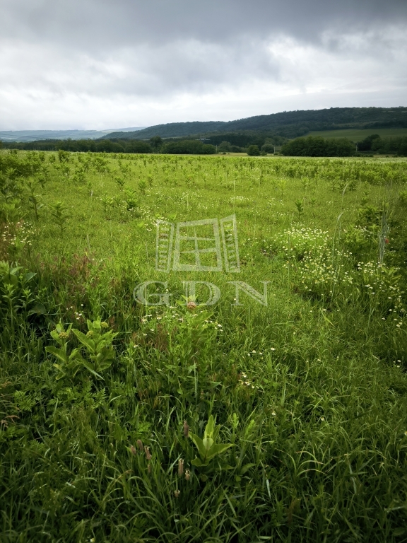 For sale Őrbottyán Building lot