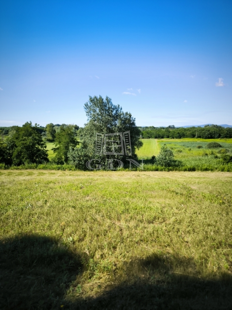 For sale Csörög Agricultural area