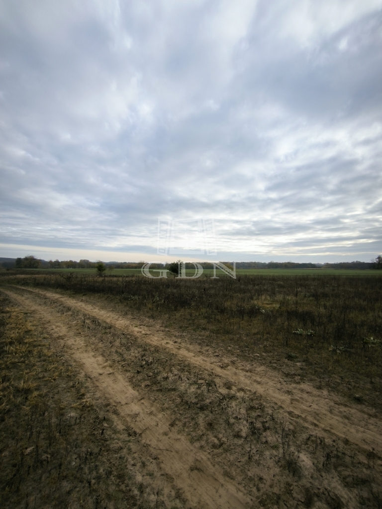 Vânzare Csomád Zona agricola